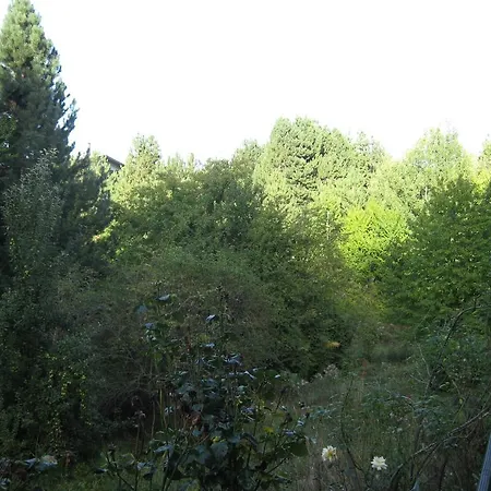 Le Tre Rose Montagna * Camigliatello Silano