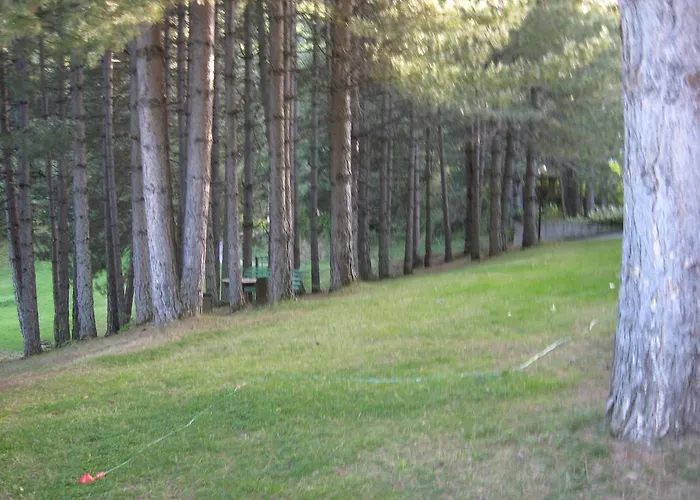 Le Tre Rose Montagna