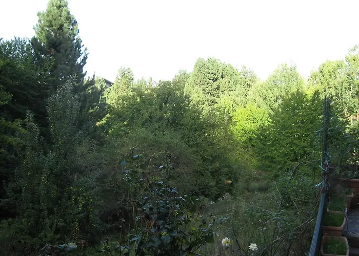 Le Tre Rose Montagna * 卡迈格拉特罗希拉诺